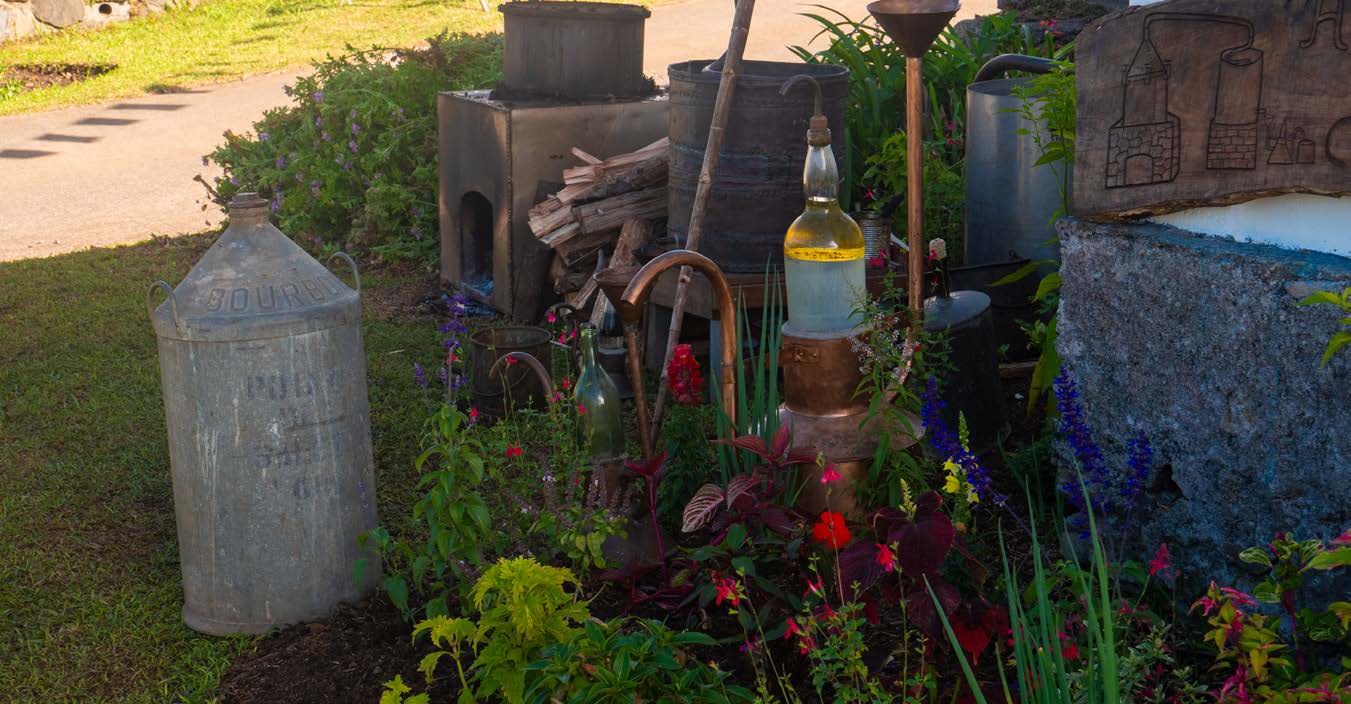 Objets traditionnels et fleurs présentés dans un jardin.