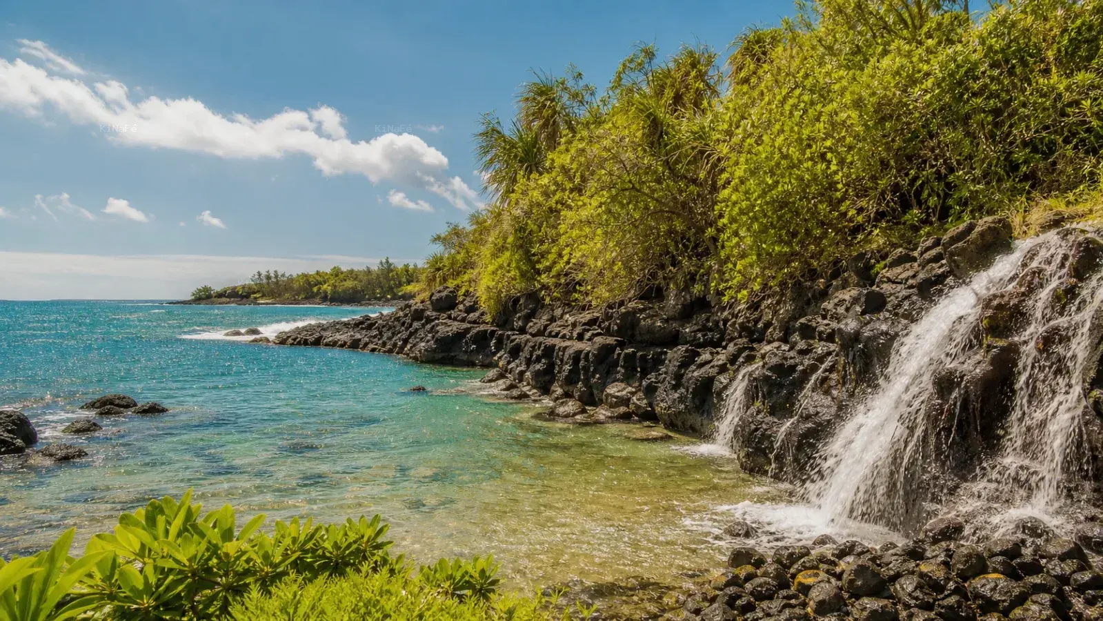 Visuel d’archive — Anse des Cascades à Sainte-Rose : accès et découverte