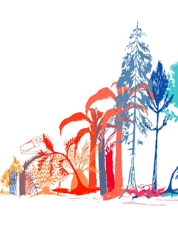 Défi Dino Dessins