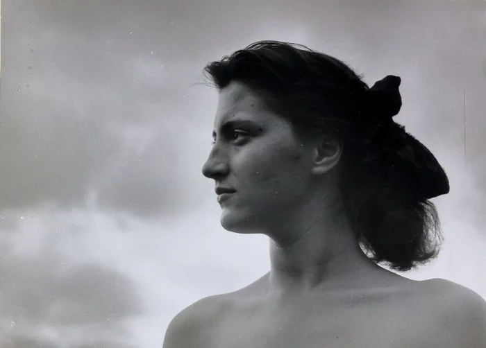 Musée Réattu, une collection photographique pionnière