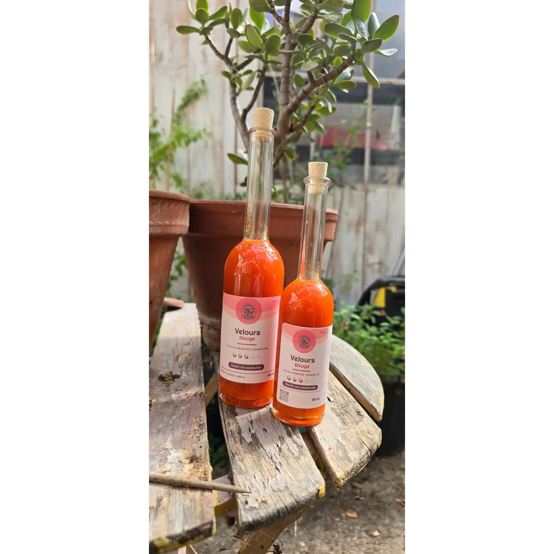 Deux bouteilles de sauce pimentée fermentée « Velours Rouge » posées sur une table en bois