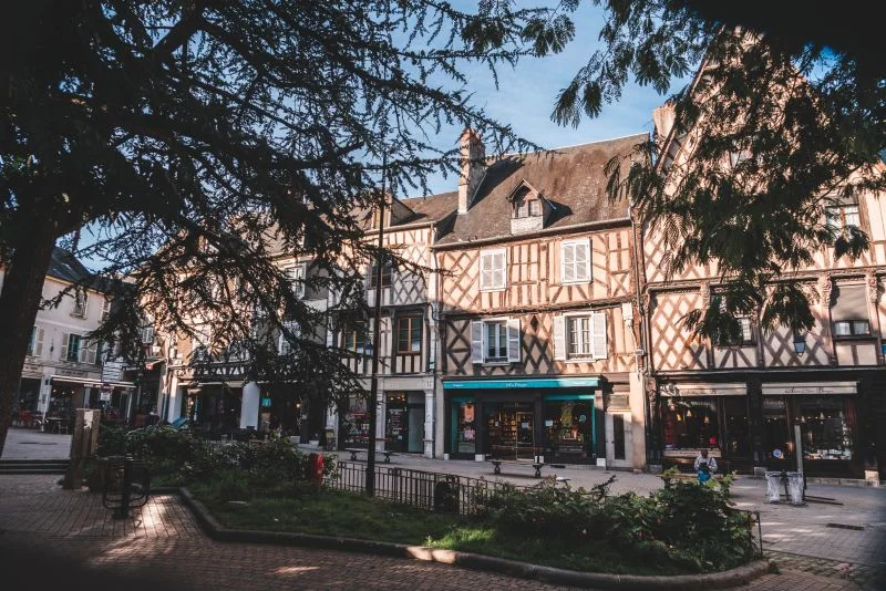 Visites guidées : Cathédrale et Centre Historique