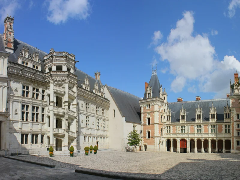 Visite insolite du château royal de Blois
