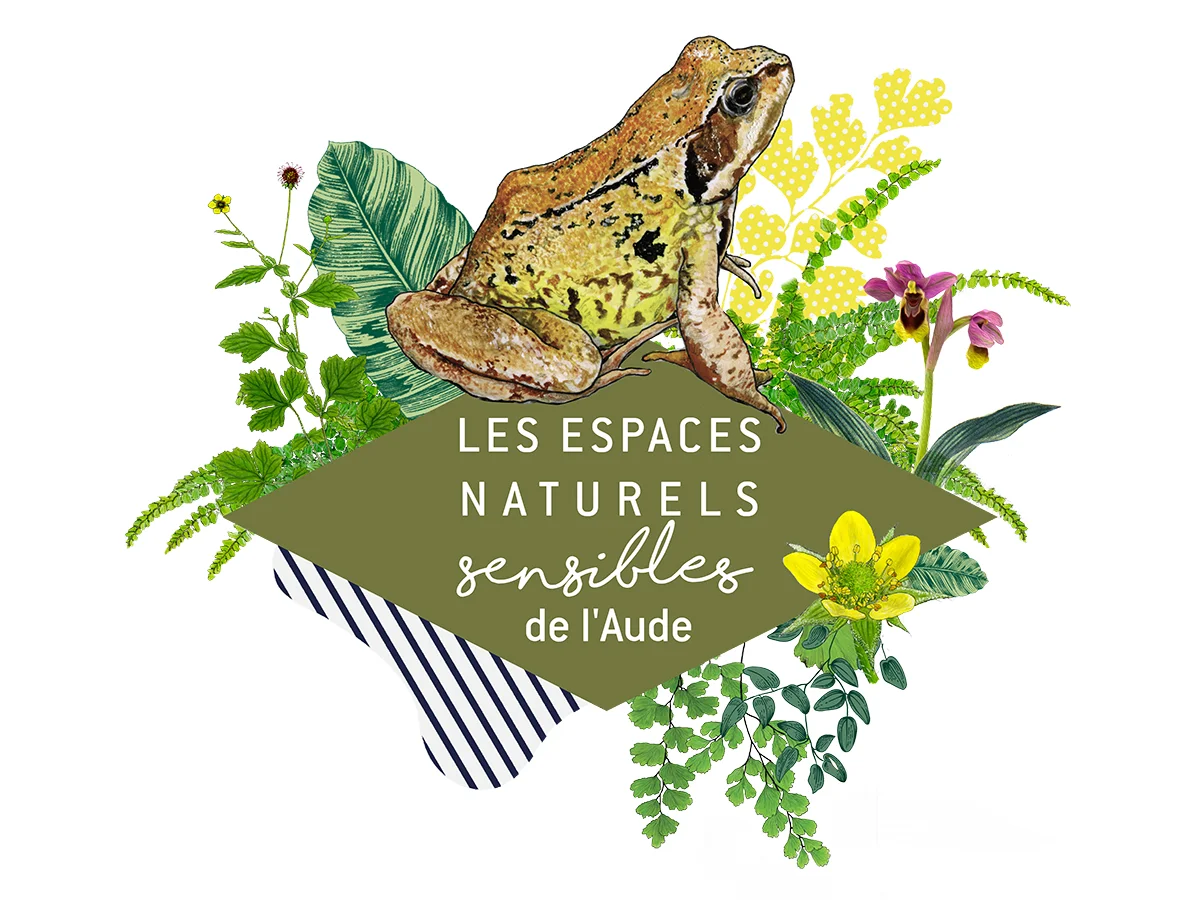 ENS - VOLEZ À VÉLO LE LONG DU CANAL !