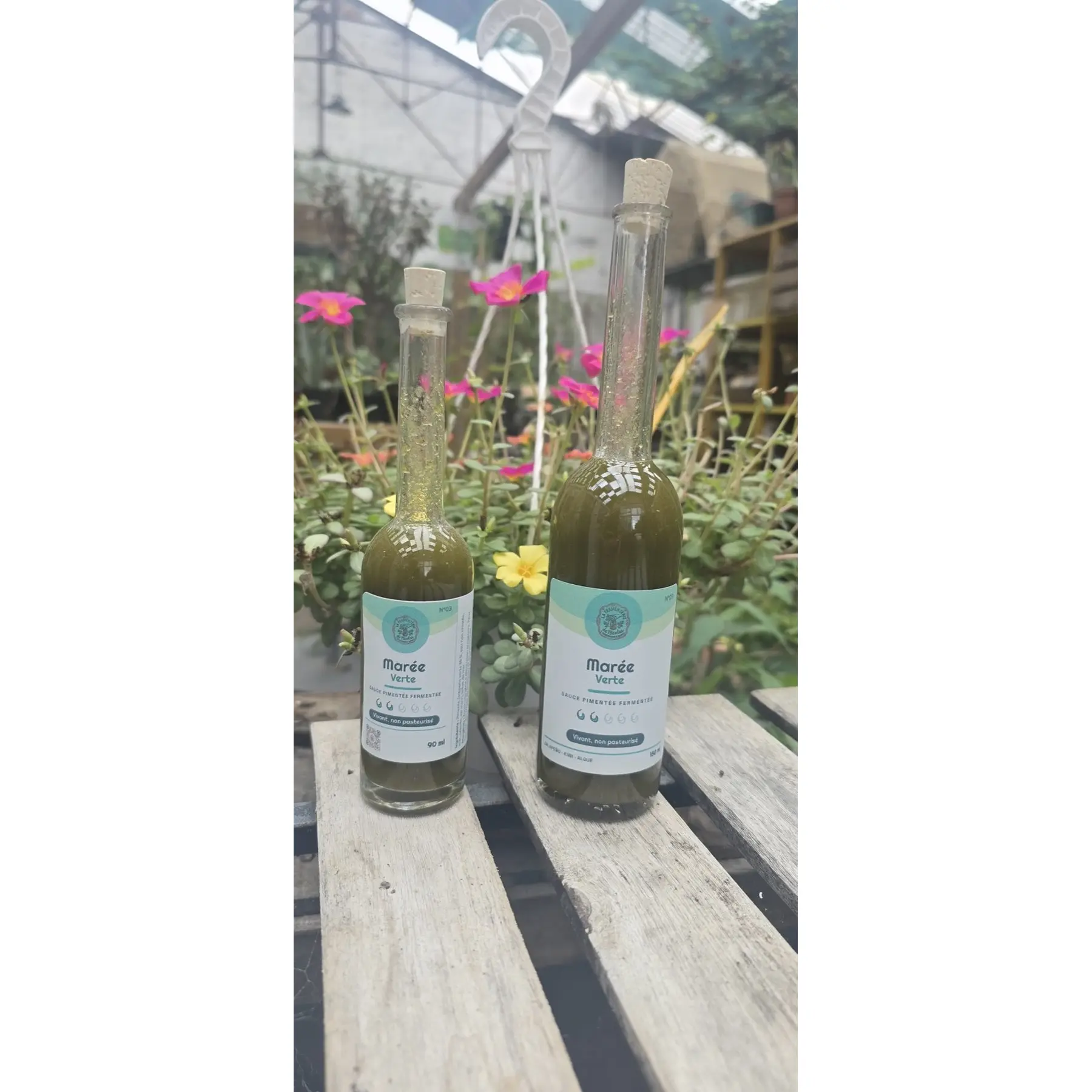 Deux bouteilles de sauce pimentée fermentée verte « Marée Verte »