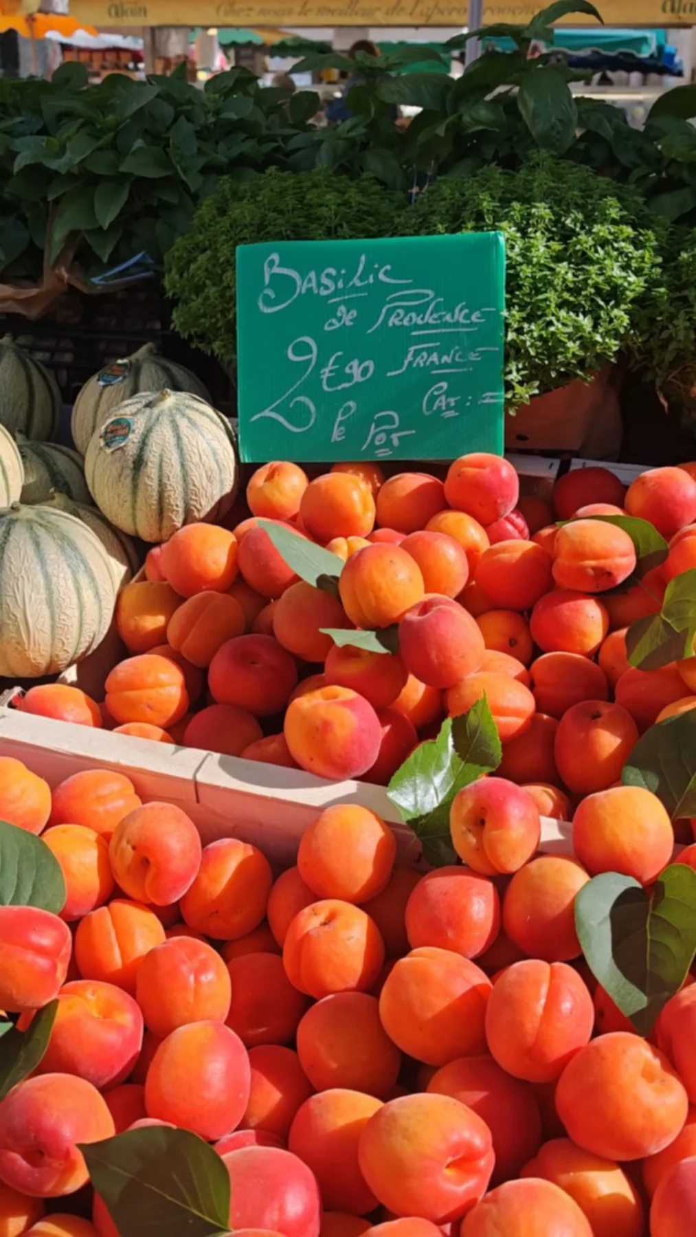 Tour du marché et terroir local