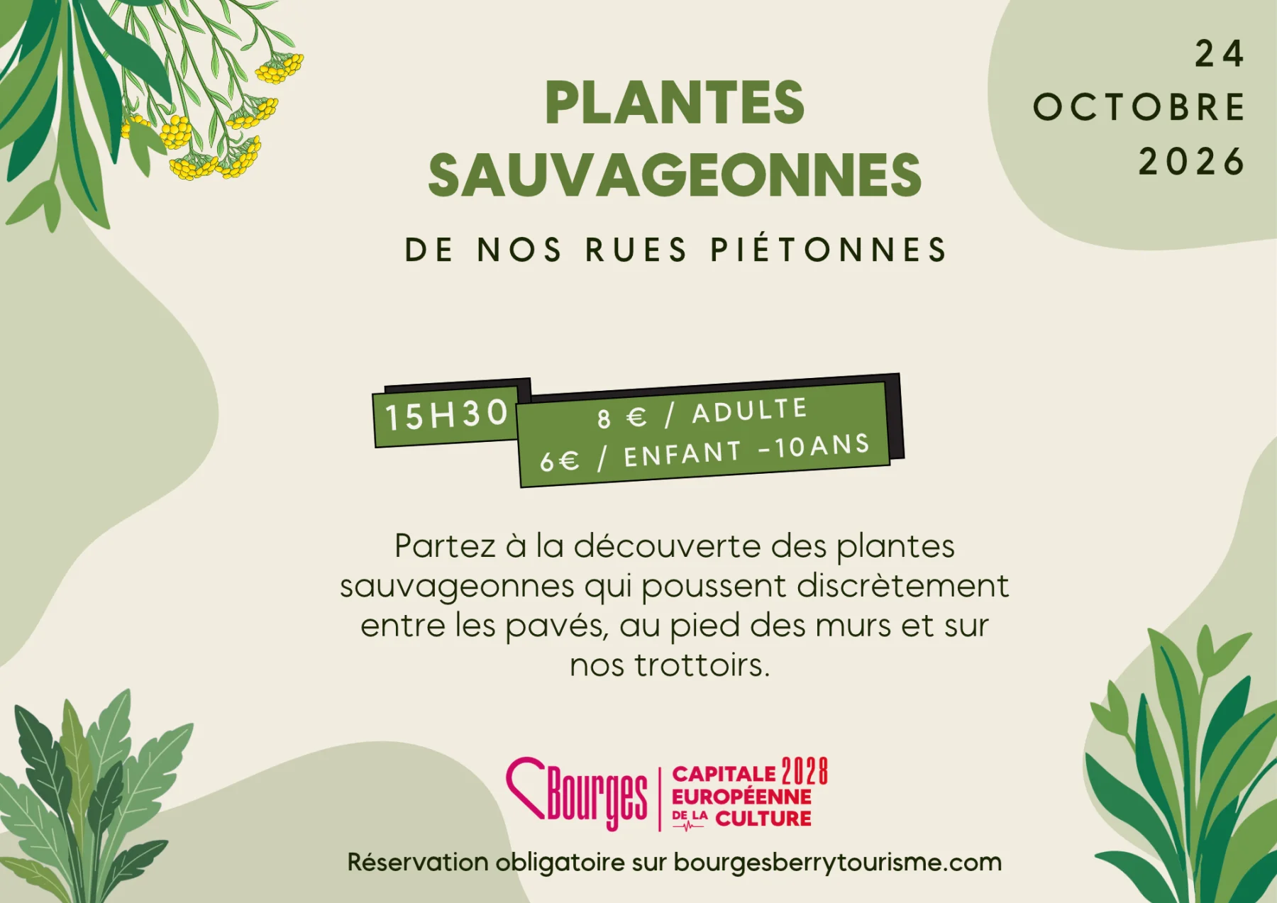 Animation : Les Plantes Sauvageonnes De Nos Rues Piétonnes