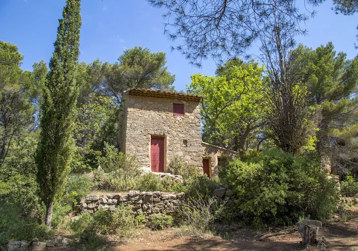 Les Carrières de Bibémus et Cezanne