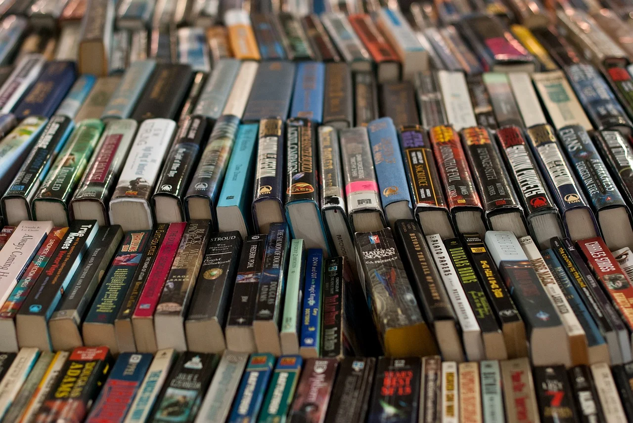 Marché aux livres et aux disques anciens - Orléans