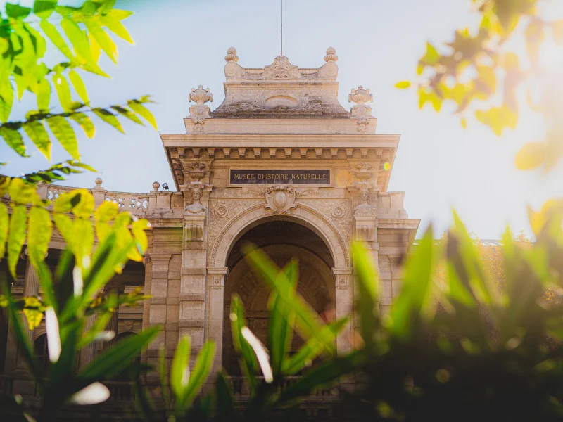 Quels enjeux pour la Nature en Ville à Marseille !