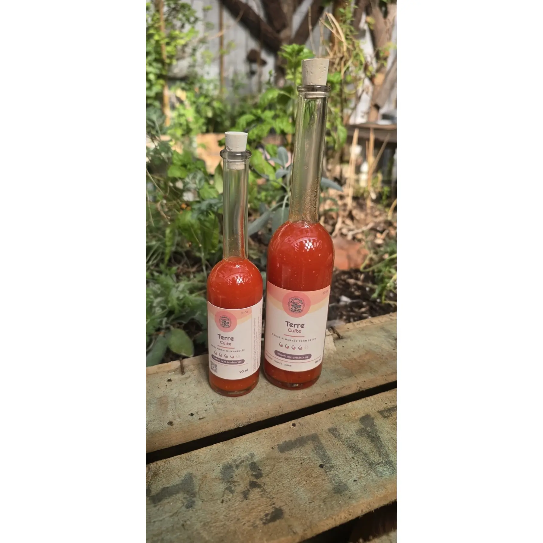 Deux bouteilles de sauce pimentée fermentée « Terre Cuite », 90 ml et 180 ml