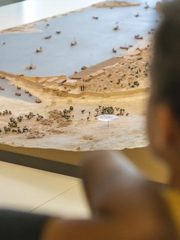 Visite en famille "Les petites bêtes du musée"