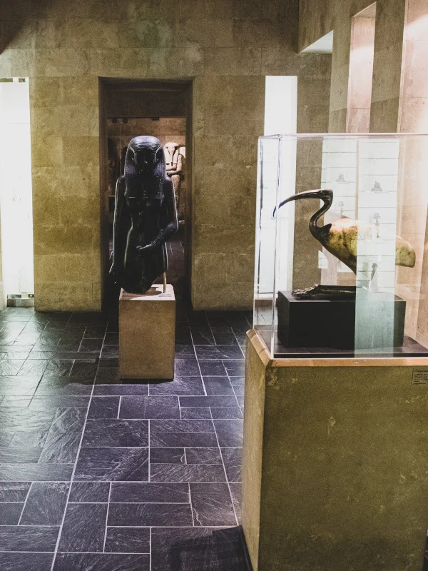 Collections permanentes du Musée d'Archéologie Méditerranéenne