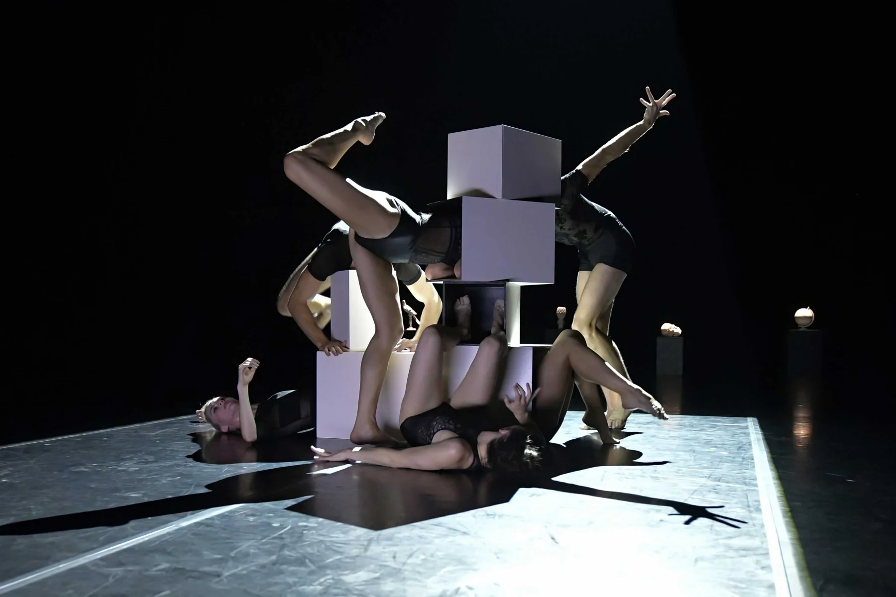 Spectacle - Still Life - Ballet Preljocaj Junior