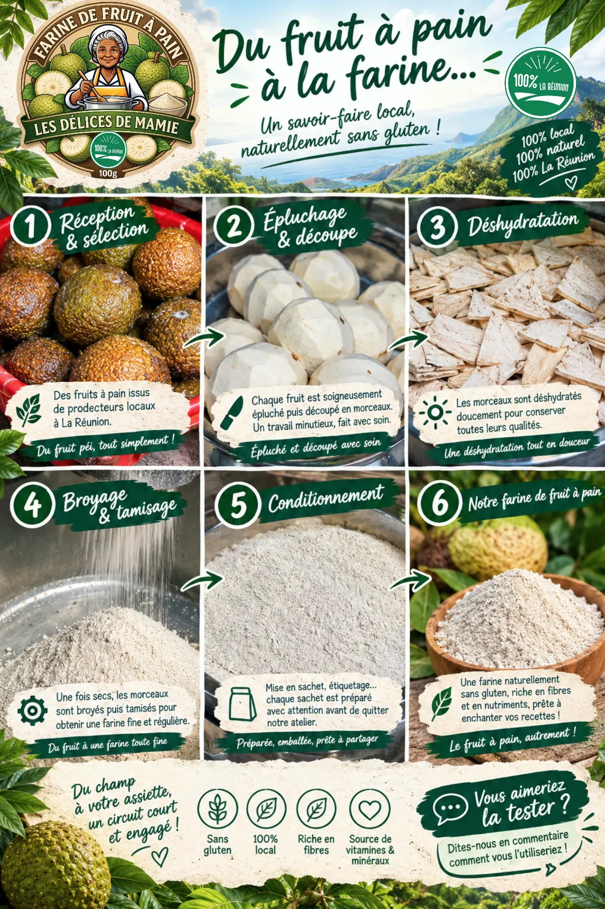 process fabrication de farine de fruit a pain