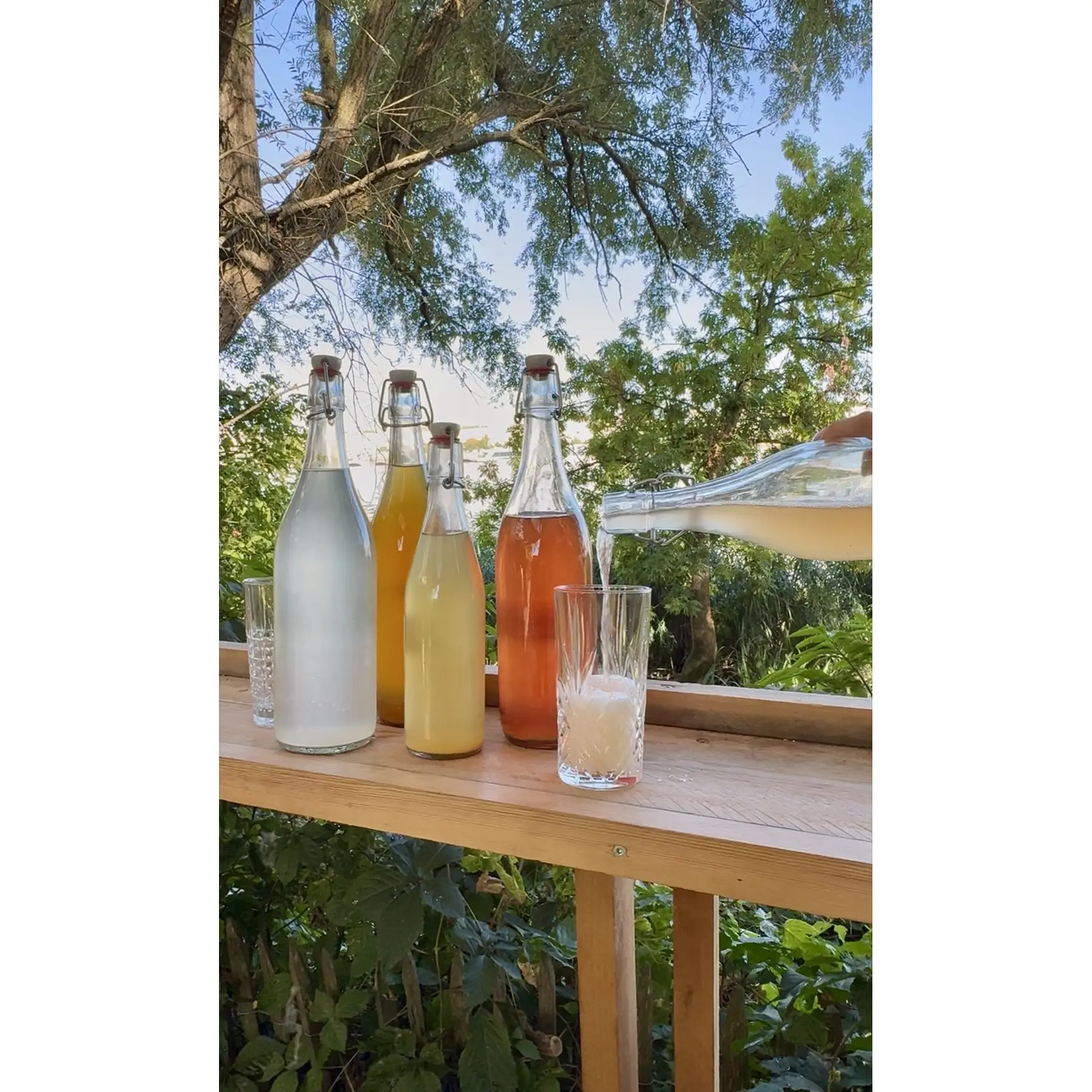 Bouteilles de kombucha et kéfir de fruit sur un muret en bois