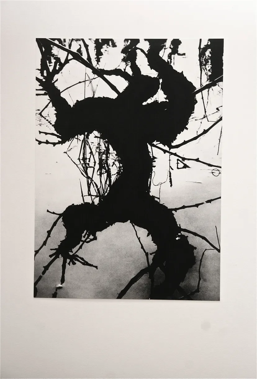 Exposition La Camargue, un autre monde