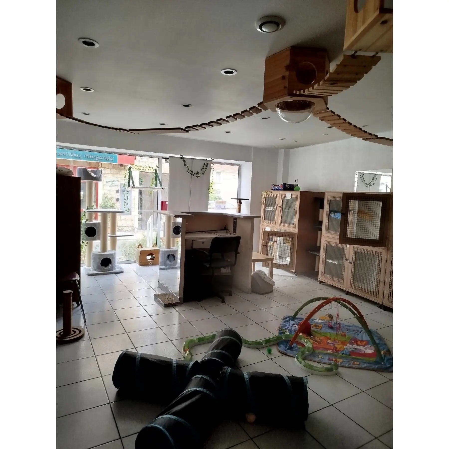 Crèche Matous — espace de la pension féline et pensionnaires
