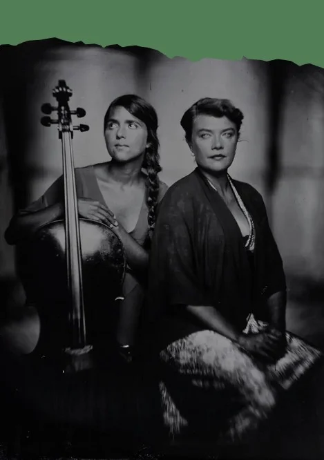 Le chant des oiseaux