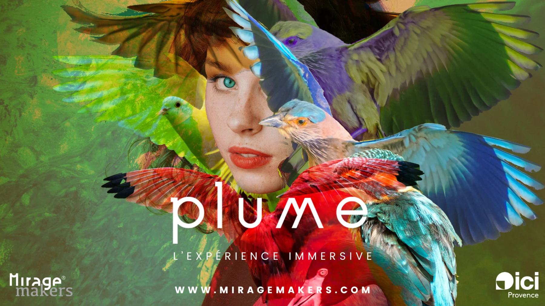 PLUME - l'expérience immersive