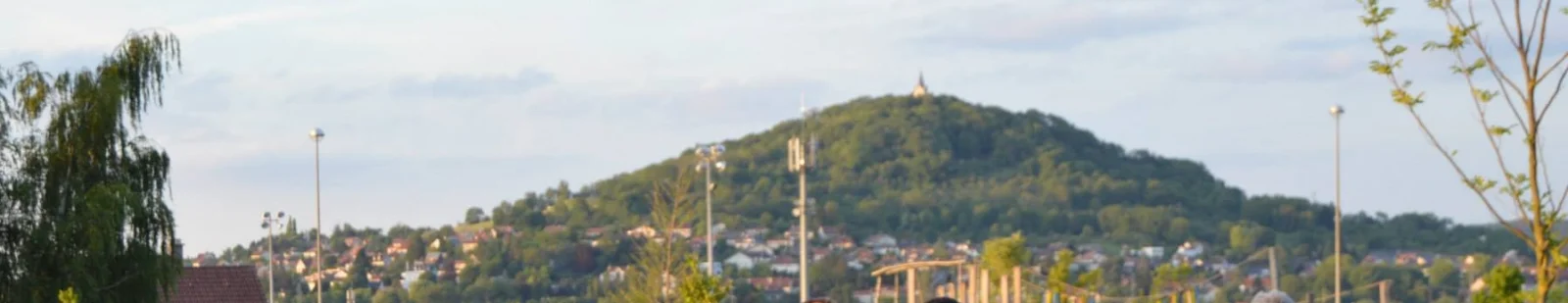 Vue de Vesoul